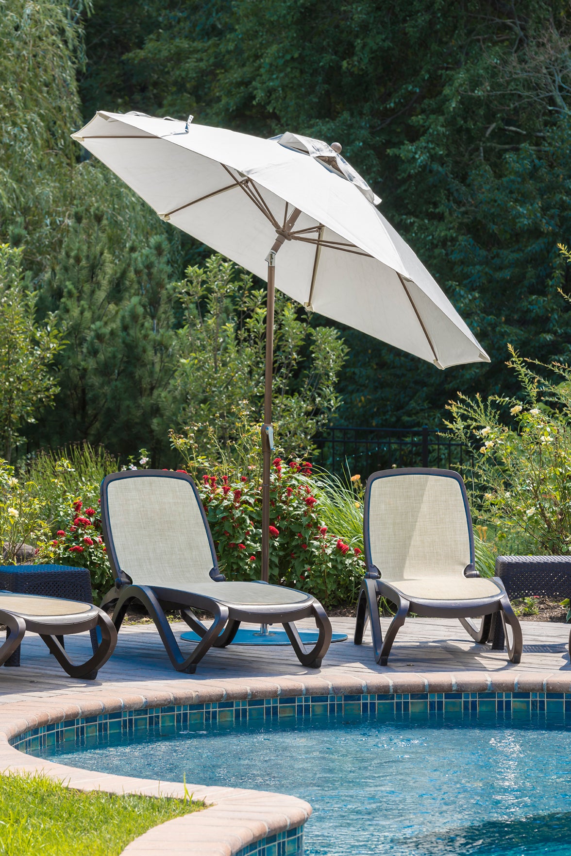 Monterey Market Umbrella - Crank/Auto Tilt